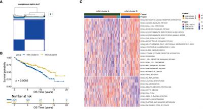 m6A-Regulator Expression Signatures Identify a Subset of Follicular Lymphoma Harboring an Exhausted Tumor Microenvironment